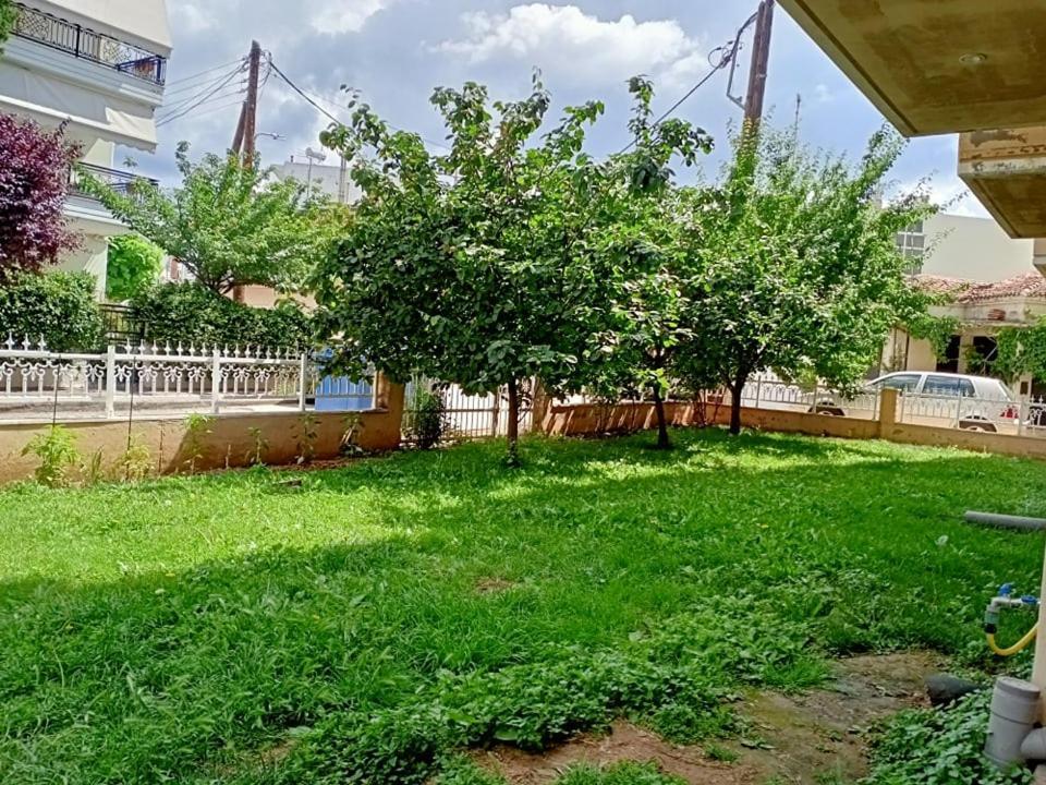 أليكسانثيربوليس Lux Studio Apartment المظهر الخارجي الصورة